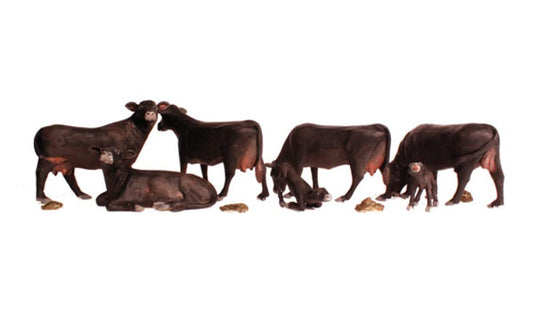HO Black Angus Cows