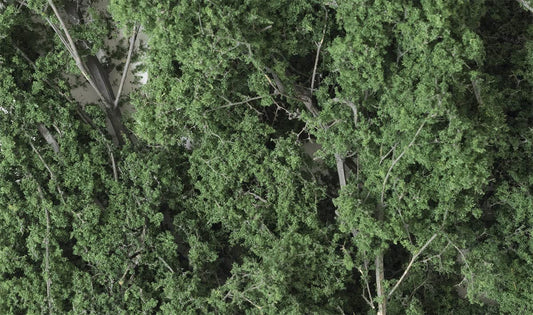 FINE Leaf Foliage Dark Green
