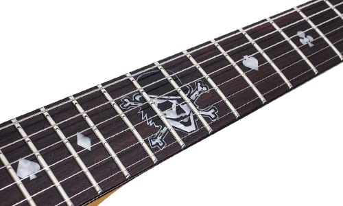 Schecter Electric Guitar - Pete Dee Artist Model